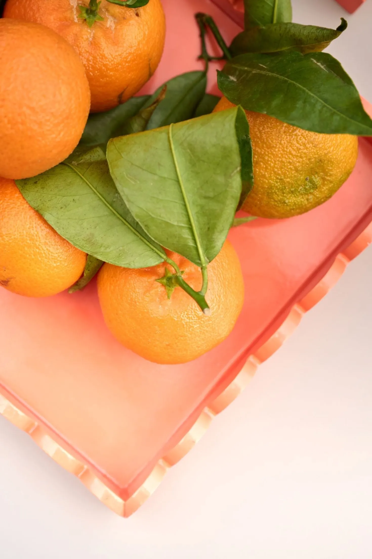 Fat orange - 30x20x3 cm