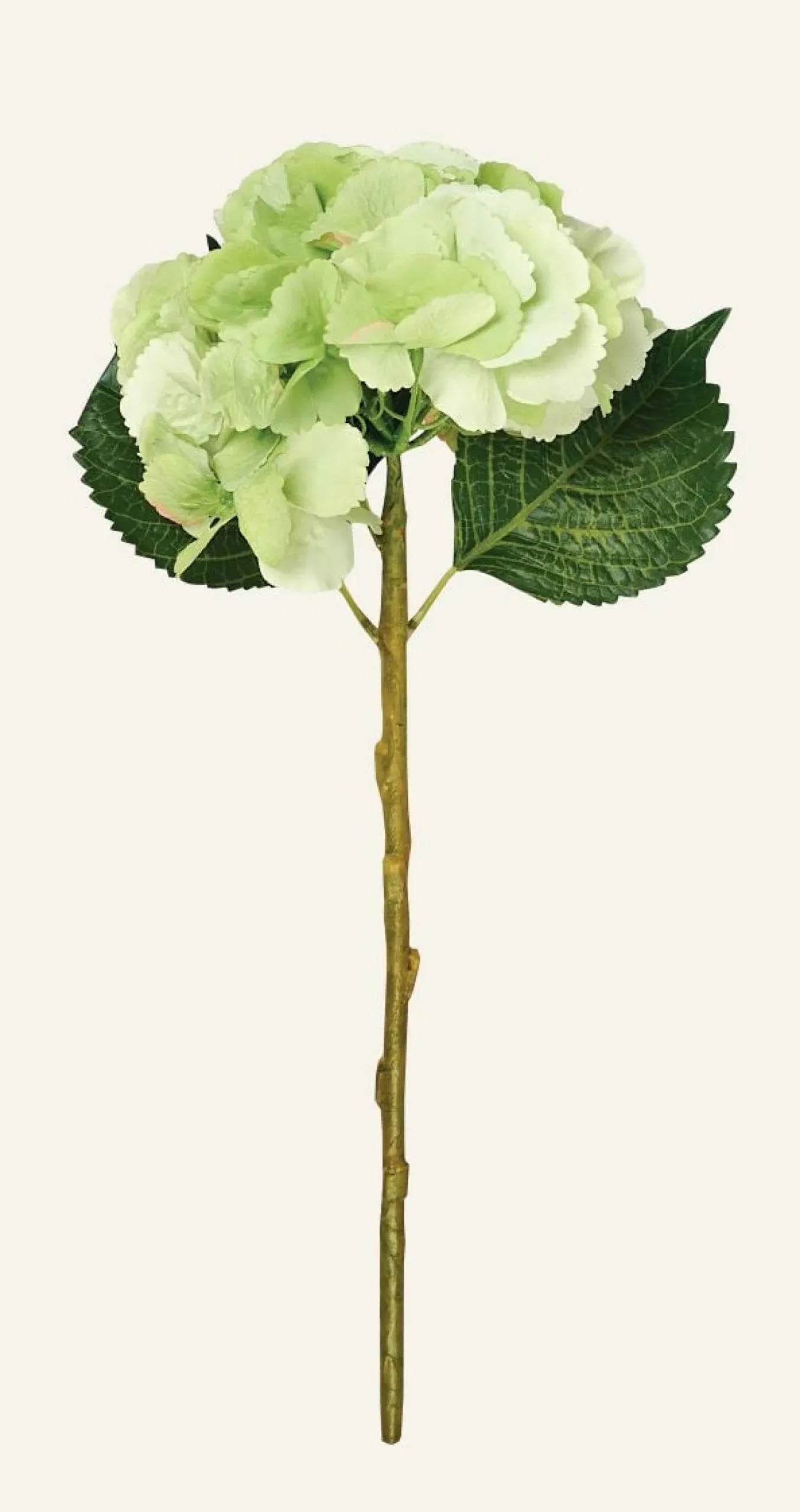 Konstgjord blomma grön - 18x18x46 cm