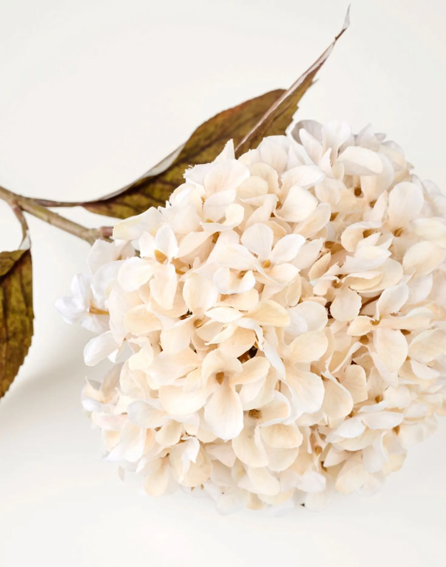 Konstgjord blomma offwhite - 23x17x38 cm