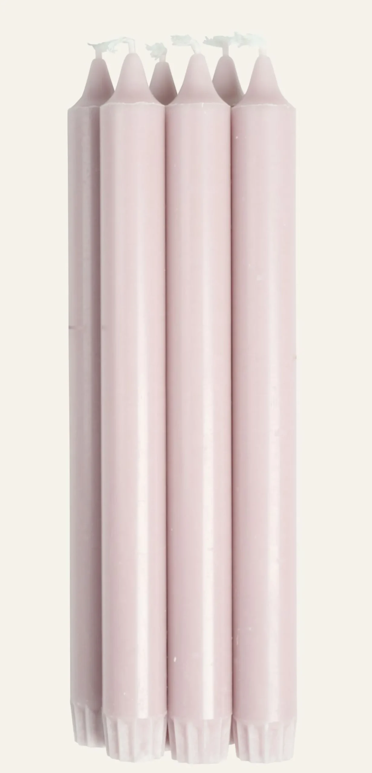Kronljus engelska ros - 24 cm